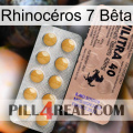 Rhinocéros 7 Bêta 41
